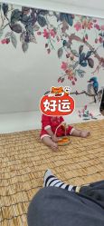 -童画王国儿童摄影(吉大店)