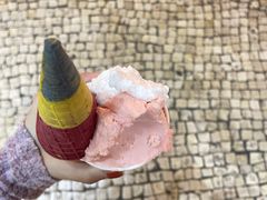 -柠檬车露(卖草地店)