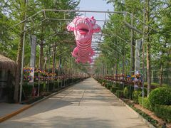 -南宫五洲植物乐园