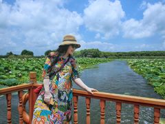 -洪湖生态旅游区