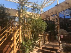 -杭州开元森泊度假乐园