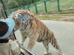 -西安秦岭野生动物园