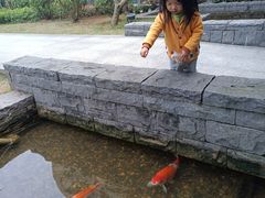 -南宁荔园维景国际酒店·荔园中餐厅