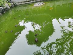-黔灵山公园