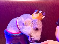 -醉小酒馆·川菜·江湖菜·重庆菜(观音桥旗舰店)