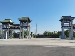 -王借岗森林公园