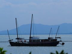 -贡湖湾湿地公园