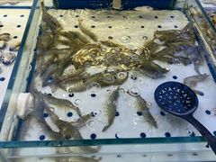 -川骄海鲜自助(河东店)