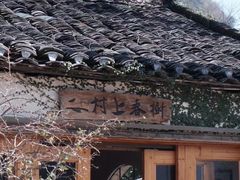 -村上春树