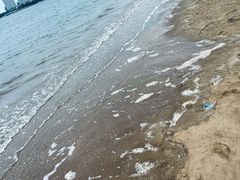 -五缘湾湿地公园