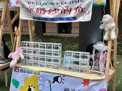 -西安电影制片厂