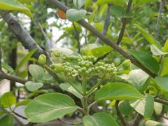 -济南国际园博园