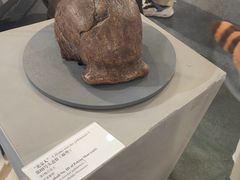 -北京周口店北京人遗址博物馆