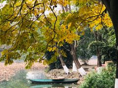 -西南交通大学(九里校区)