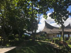 景点-大树秋千