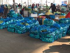 -江杨农产品批发市场