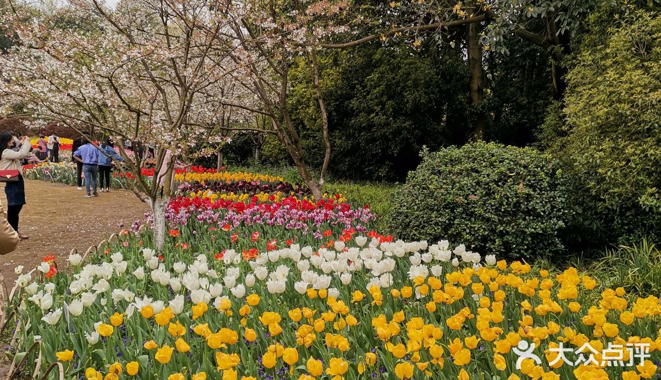 公園裡花開得很豔也許是春天快要來了