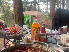 -重庆睡佛山森林公园