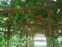 -万源龙顺度假庄园生态观光园