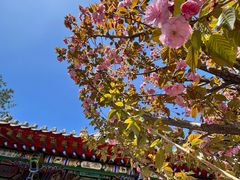 -长安寺