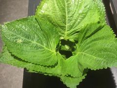 -四斤烤肉(东戴河孟家店)