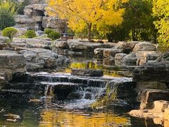 -莲花池公园