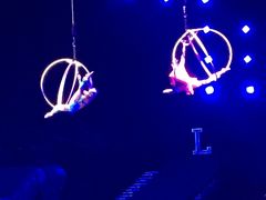 -珠海横琴长隆《卡卡虎奇遇记》