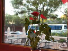 -满堂·烤鸭店·北京菜(鼓楼店)