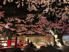 -蓝鲸湾汤泉(包河店)