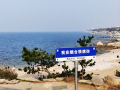 -海岛日记(养马岛店)