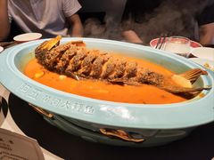 -阿五黄河大鲤鱼(建业路店)