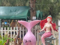 -杨梅坑