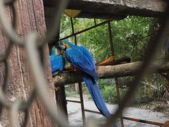 -清迈夜间动物园