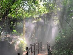 -青青世界
