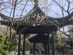 -范蠡湖公园