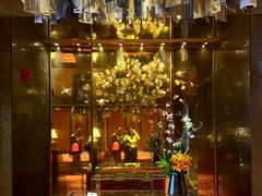 -金轩中餐厅 Jin Xuan(浦东丽思卡尔顿酒店)