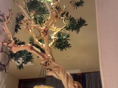 -老阿爸鲜鱼土菜(独墅湖店)