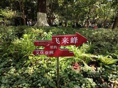 -灵隐飞来峰景区