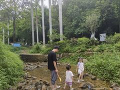 -田心森林公园