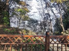 -五女山景区