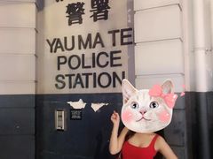 -富豪雪糕车流动点(尖沙咀店)