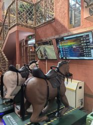 -卡通尼·Safari非洲探索乐园·生日会(金桥国际商业广场店)