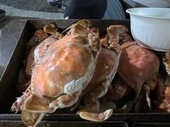 梭子蟹-老三李村河底戳子肉(总店)