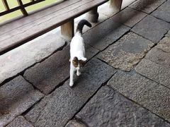 -乌镇东栅景区