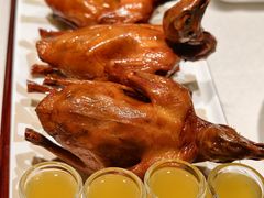 -大鸽饭(动物园店)