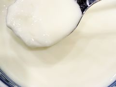 -赵记传承特色牛奶甜品(泉城广场店)