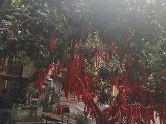 -小洲村