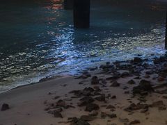 -演武大桥观景平台