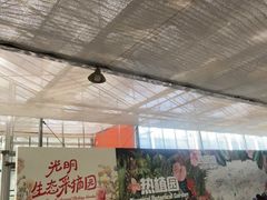-上海鲜花港