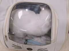 -瑞派新吉太郎宠物医院·重症转诊中心·泌尿道(嘉禾望岗院)